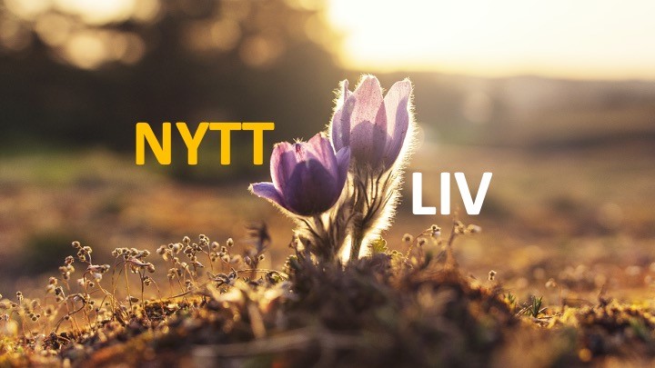 Featured image for “Nytt Liv”