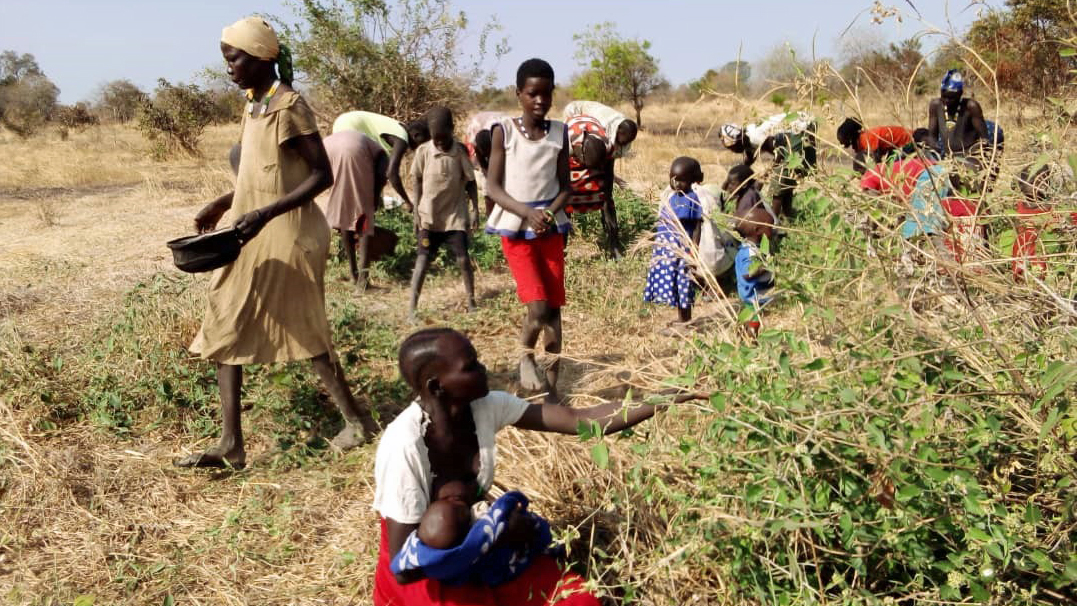 Featured image for “Krevende tider i Sør-Sudan”