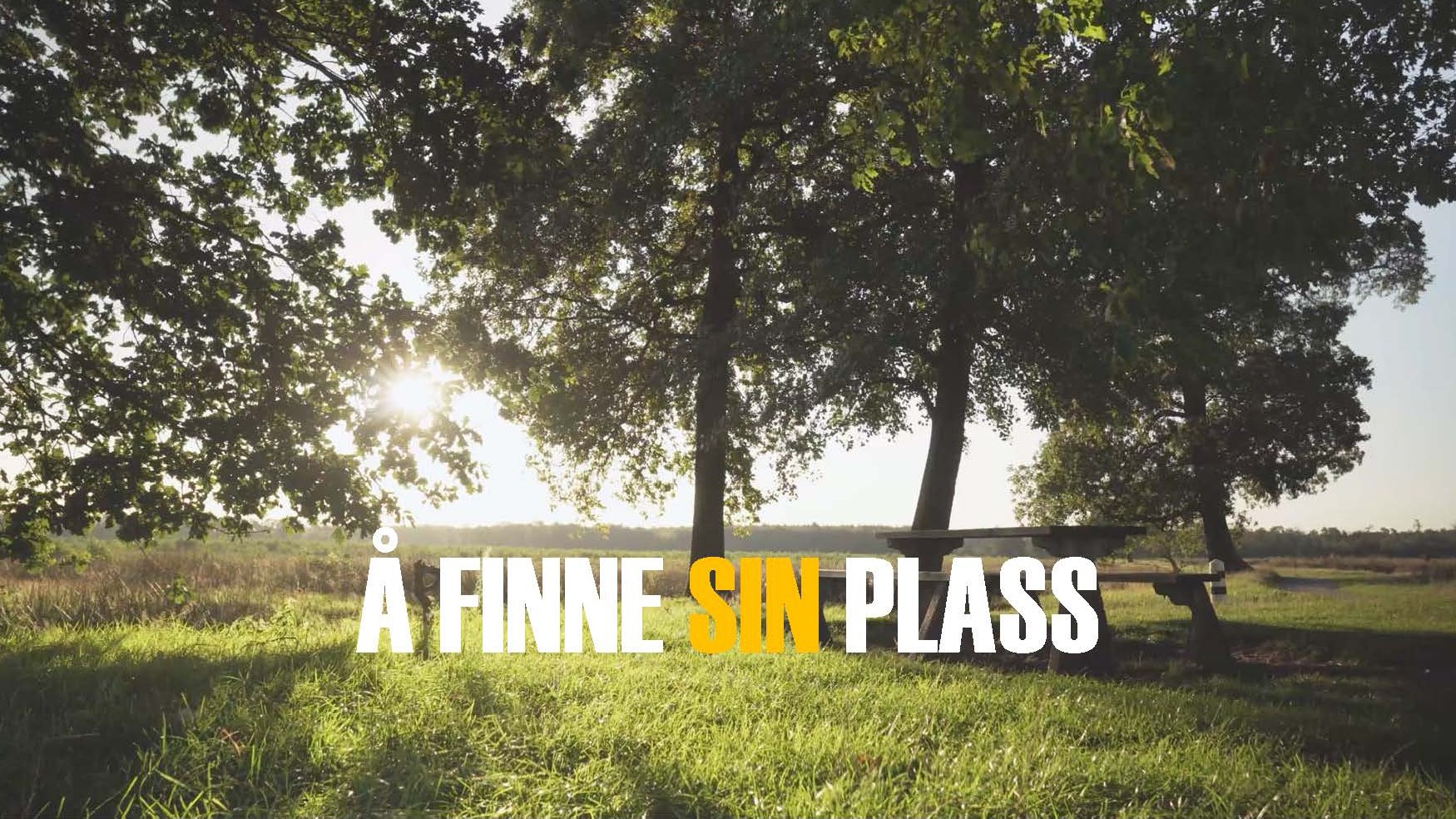 Featured image for “Å finne sin plass”